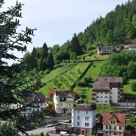 Apartment Haus Der Guten Freunde Bad Wildbad