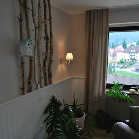 Haus Der Guten Freunde * Bad Wildbad